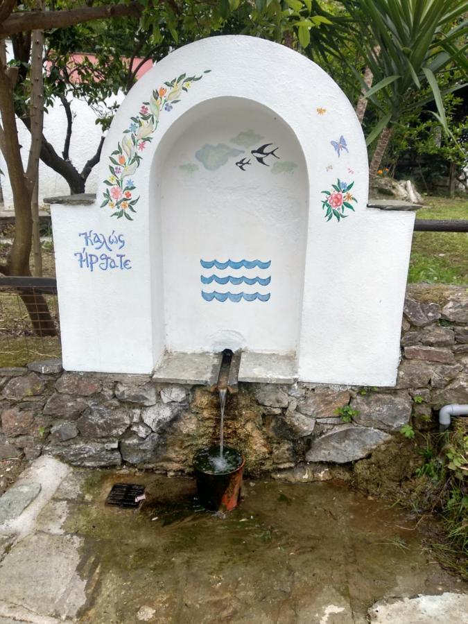 Flower House خوريفتون المظهر الخارجي الصورة